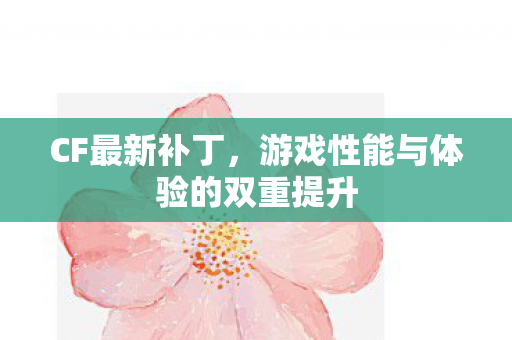CF最新补丁，游戏性能与体验的双重提升