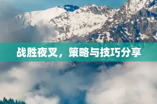 战胜夜叉，策略与技巧分享
