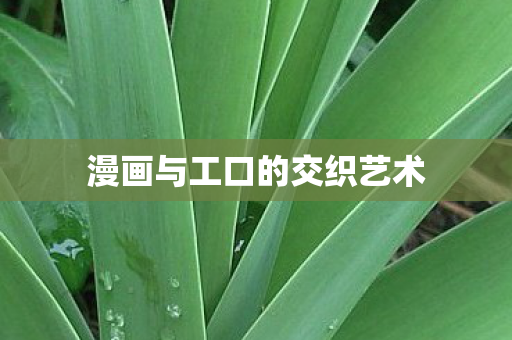 漫画与工口的交织艺术 漫画与工口的交织艺术