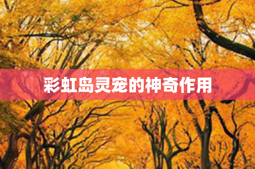 彩虹岛灵宠的神奇作用