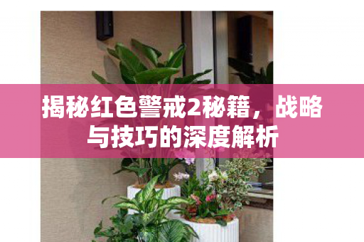 揭秘红色警戒2秘籍，战略与技巧的深度解析