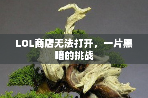 LOL商店无法打开，一片黑暗的挑战
