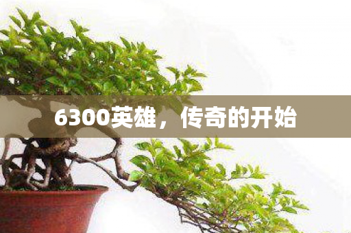 6300英雄,传奇的开始 6300英雄,传奇的开始