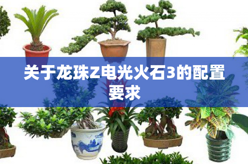 关于龙珠Z电光火石3的配置要求
