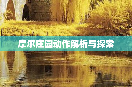 摩尔庄园动作解析与探索