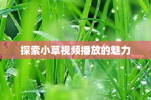 探索小草视频播放的魅力