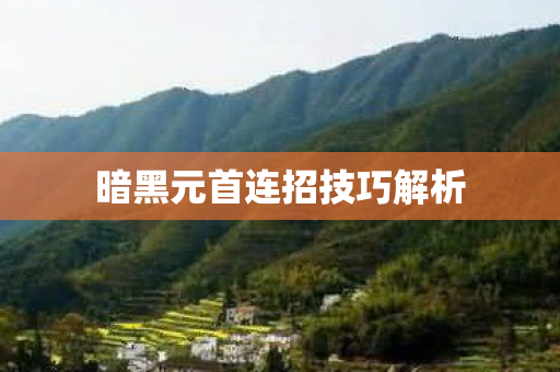 暗黑元首连招技巧解析