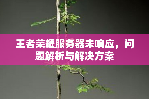 王者荣耀服务器未响应，问题解析与解决方案