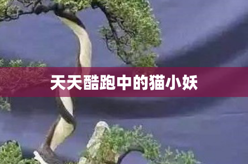 天天酷跑中的猫小妖