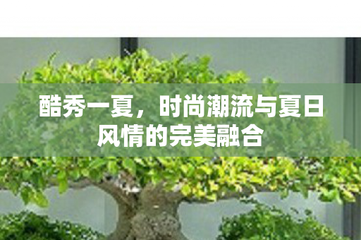 酷秀一夏，时尚潮流与夏日风情的完美融合