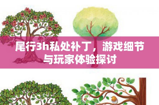 尾行3h私处补丁，游戏细节与玩家体验探讨