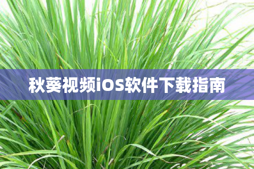秋葵视频iOS软件下载指南
