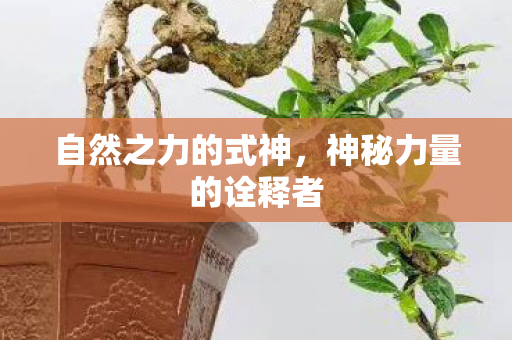 自然之力的式神,神秘力量的诠释者 自然之力的式神,神秘力量的诠释者