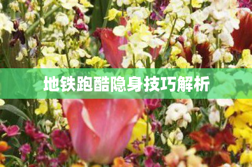 地铁跑酷隐身技巧解析
