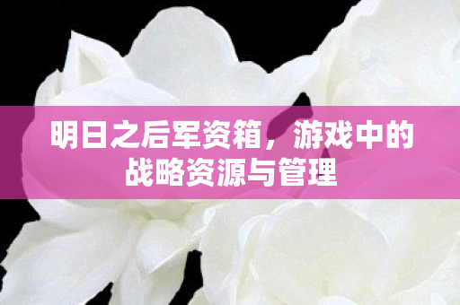 明日之后军资箱，游戏中的战略资源与管理