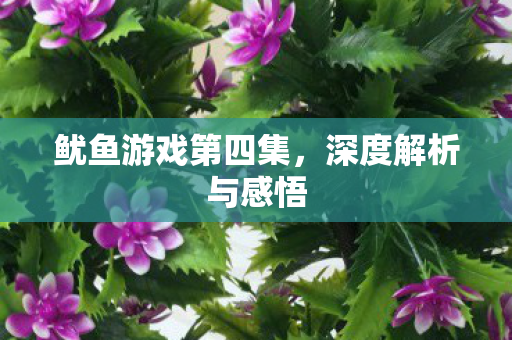 鱿鱼游戏第四集,深度解析与感悟 鱿鱼游戏第四集,深度解析与感悟