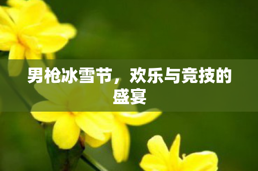 男枪冰雪节,欢乐与竞技的盛宴 男枪冰雪节,欢乐与竞技的盛宴