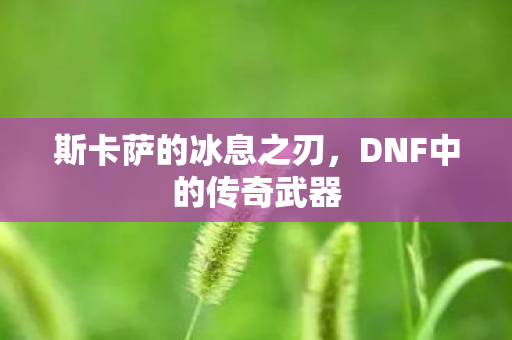 斯卡萨的冰息之刃,DNF中的传奇武器 斯卡萨的冰息之刃,DNF中的传奇武器