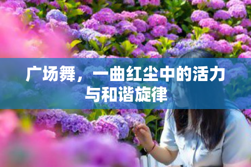 广场舞,一曲红尘中的活力与和谐旋律 广场舞,一曲红尘中的活力与和谐旋律