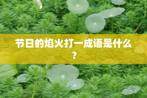 节日的焰火打一成语是什么？