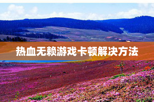 热血无赖游戏卡顿解决方法