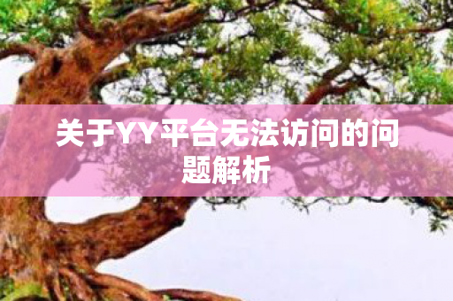 关于YY平台无法访问的问题解析