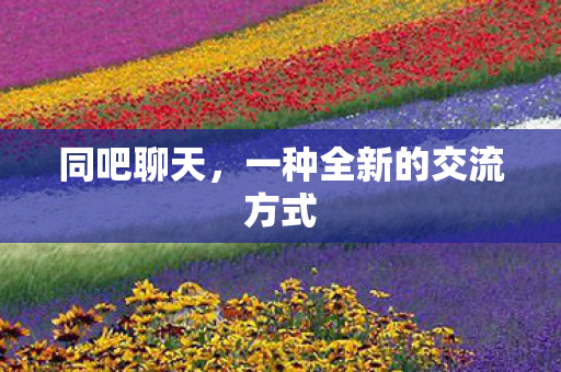 同吧聊天，一种全新的交流方式