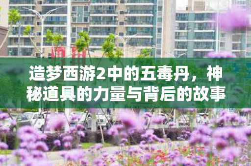 造梦西游2中的五毒丹，神秘道具的力量与背后的故事