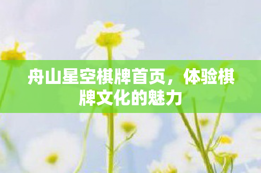 舟山星空棋牌首页，体验棋牌文化的魅力
