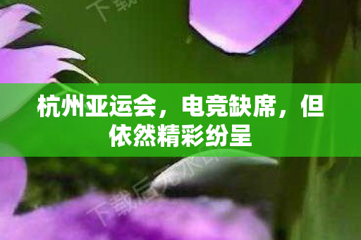 杭州亚运会，电竞缺席，但依然精彩纷呈