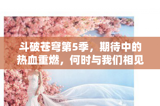 斗破苍穹第5季，期待中的热血重燃，何时与我们相见？