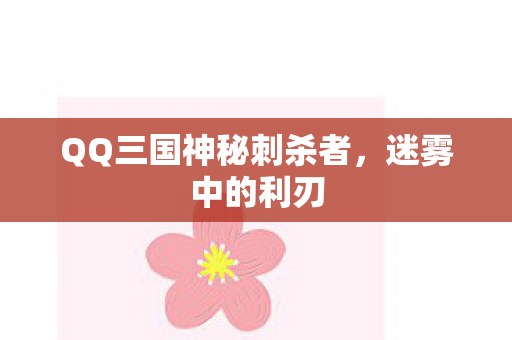 QQ三国神秘刺杀者，迷雾中的利刃