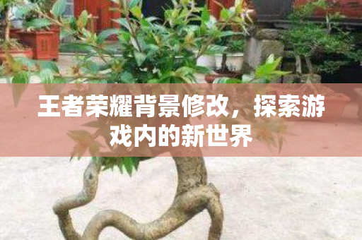 王者荣耀背景修改，探索游戏内的新世界