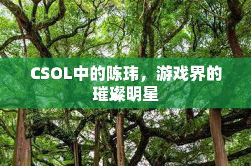 CSOL中的陈玮,游戏界的璀璨明星 CSOL中的陈玮,游戏界的璀璨明星