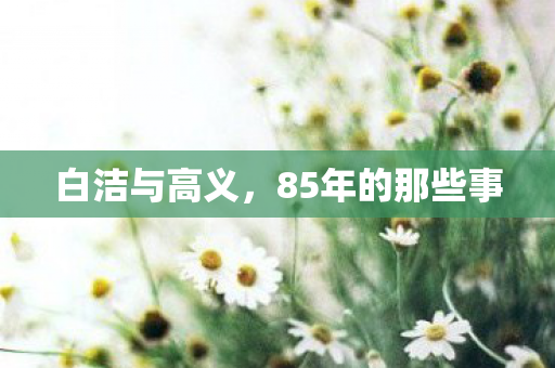 白洁与高义,85年的那些事 白洁与高义,85年的那些事