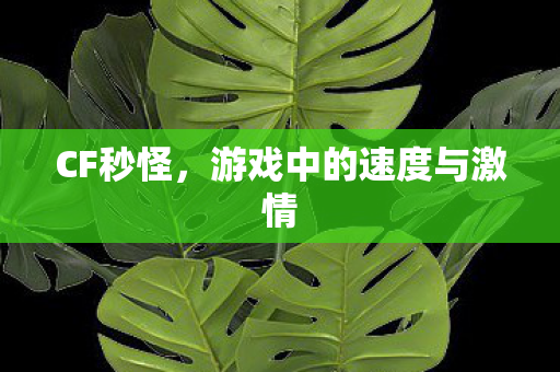 CF秒怪,游戏中的速度与激情 CF秒怪,游戏中的速度与激情