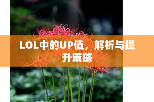 LOL中的UP值，解析与提升策略
