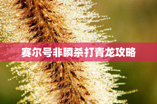 赛尔号非瞬杀打青龙攻略 赛尔号非瞬杀打青龙攻略