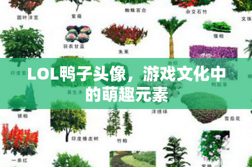 LOL鸭子头像，游戏文化中的萌趣元素