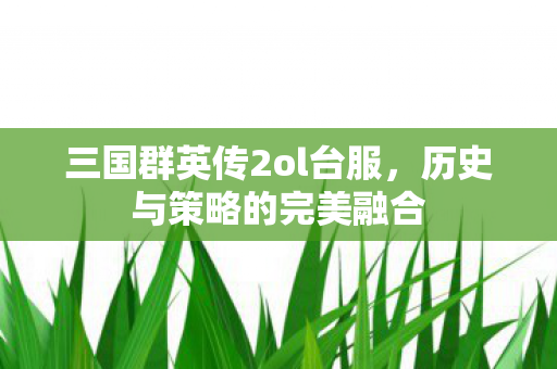 三国群英传2ol台服，历史与策略的完美融合