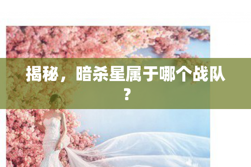 揭秘，暗杀星属于哪个战队？