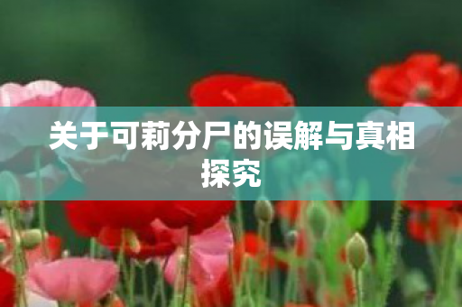 关于可莉分尸的误解与真相探究