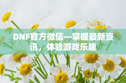 DNF官方微信—掌握最新资讯，体验游戏乐趣