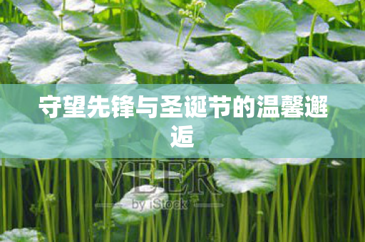 守望先锋与圣诞节的温馨邂逅 守望先锋与圣诞节的温馨邂逅