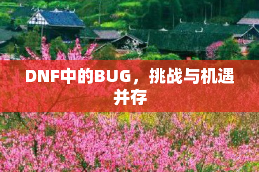 DNF中的BUG，挑战与机遇并存