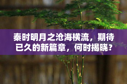 秦时明月之沧海横流，期待已久的新篇章，何时揭晓？