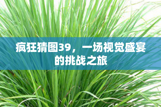 疯狂猜图39，一场视觉盛宴的挑战之旅