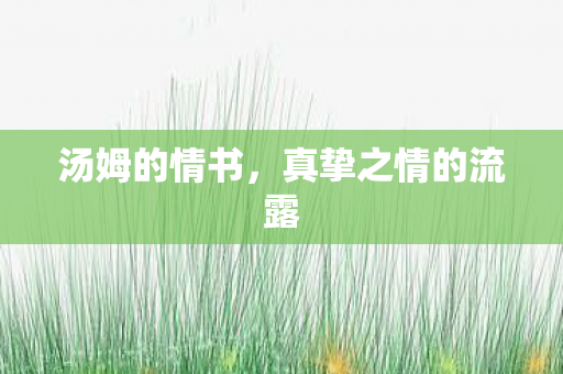 汤姆的情书，真挚之情的流露