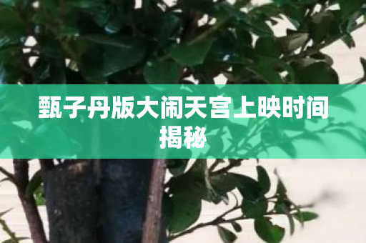 甄子丹版大闹天宫上映时间揭秘