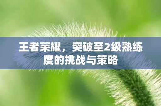 王者荣耀,突破至2级熟练度的挑战与策略 王者荣耀,突破至2级熟练度的挑战与策略